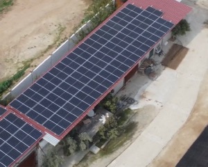 Laren Safari Park GES